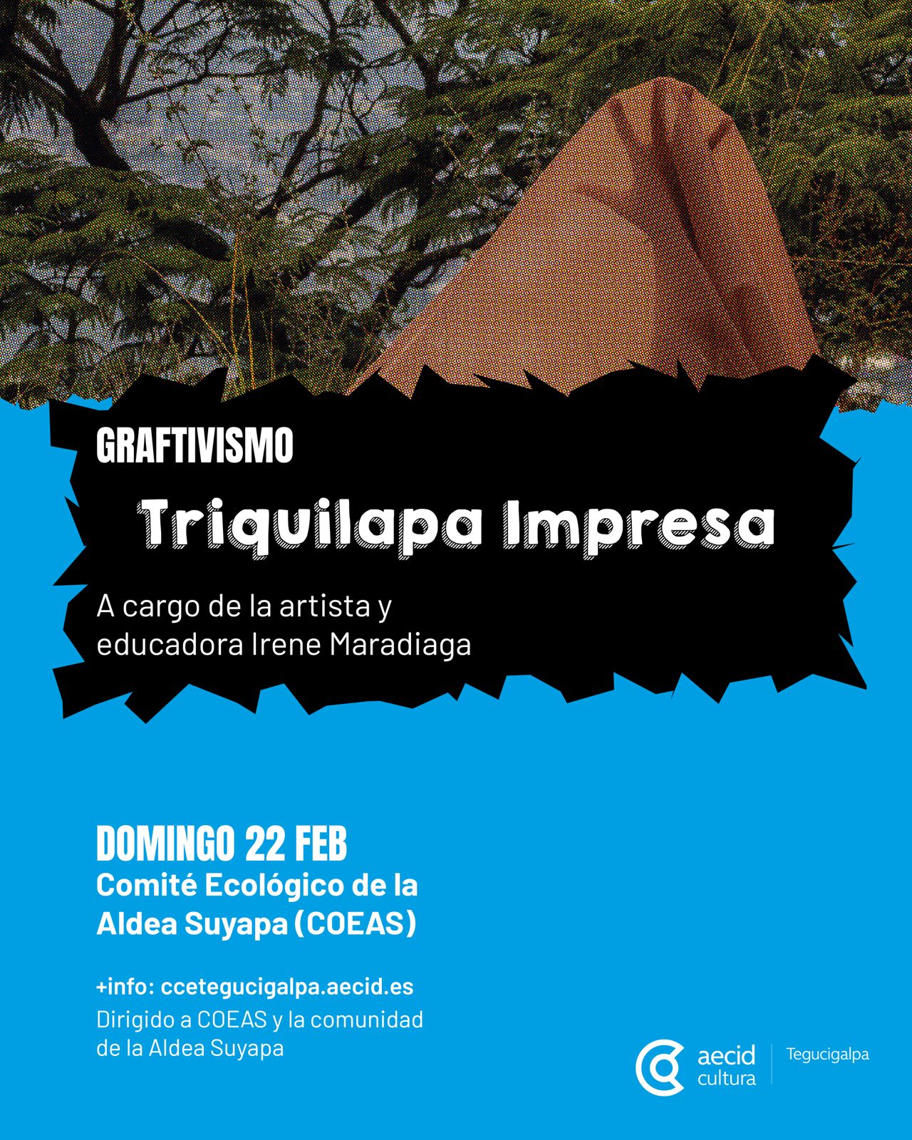 Graftivismo: Triquilapa Impresa