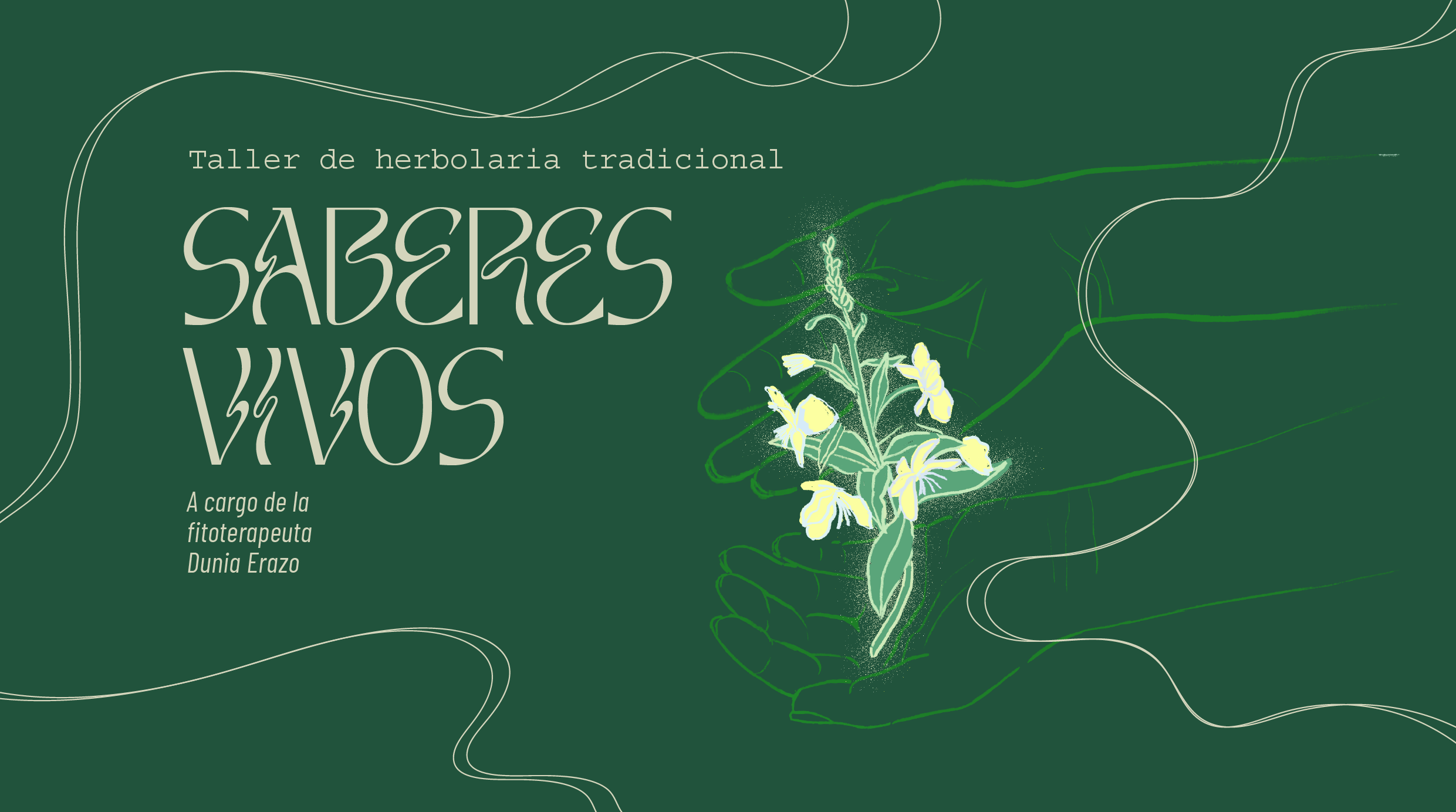 Taller de herbolaria tradicional: Saberes vivos