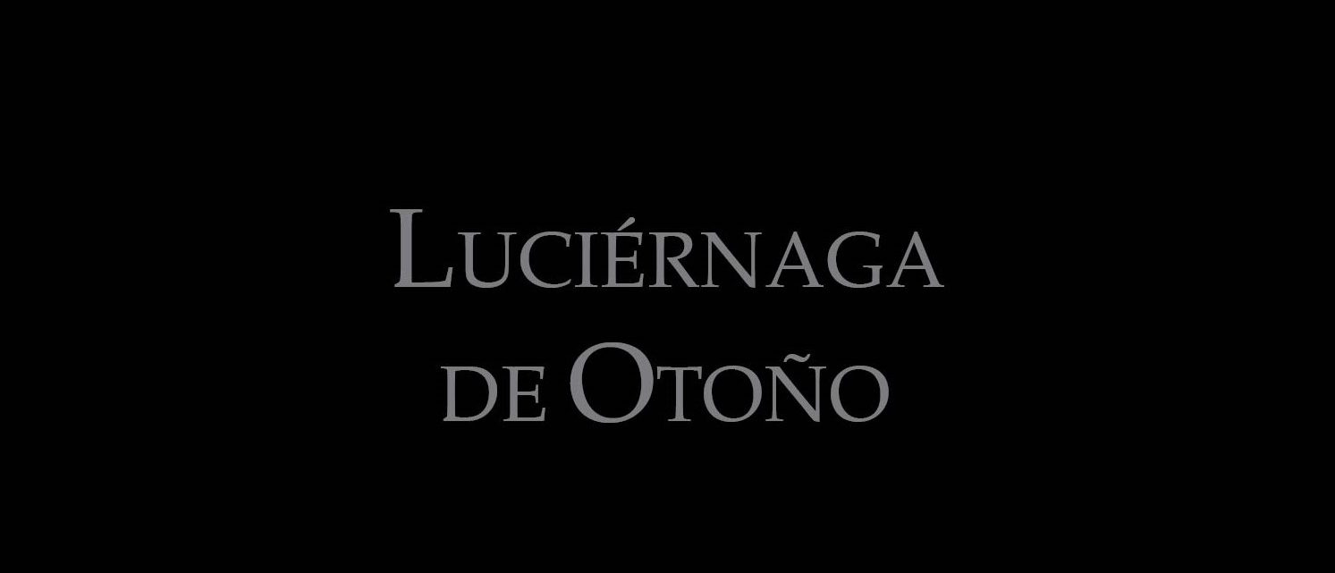 Lucirnaga de otoo
