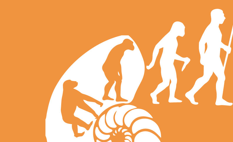 Por qu es cierta e importante la evolucin