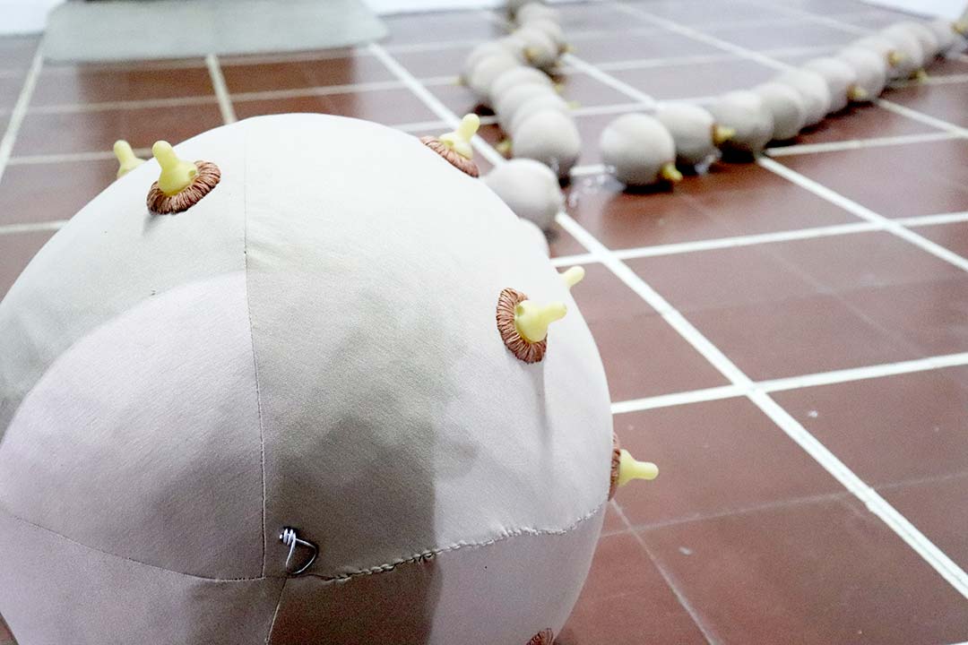 El tiempo que nos queda en la carne