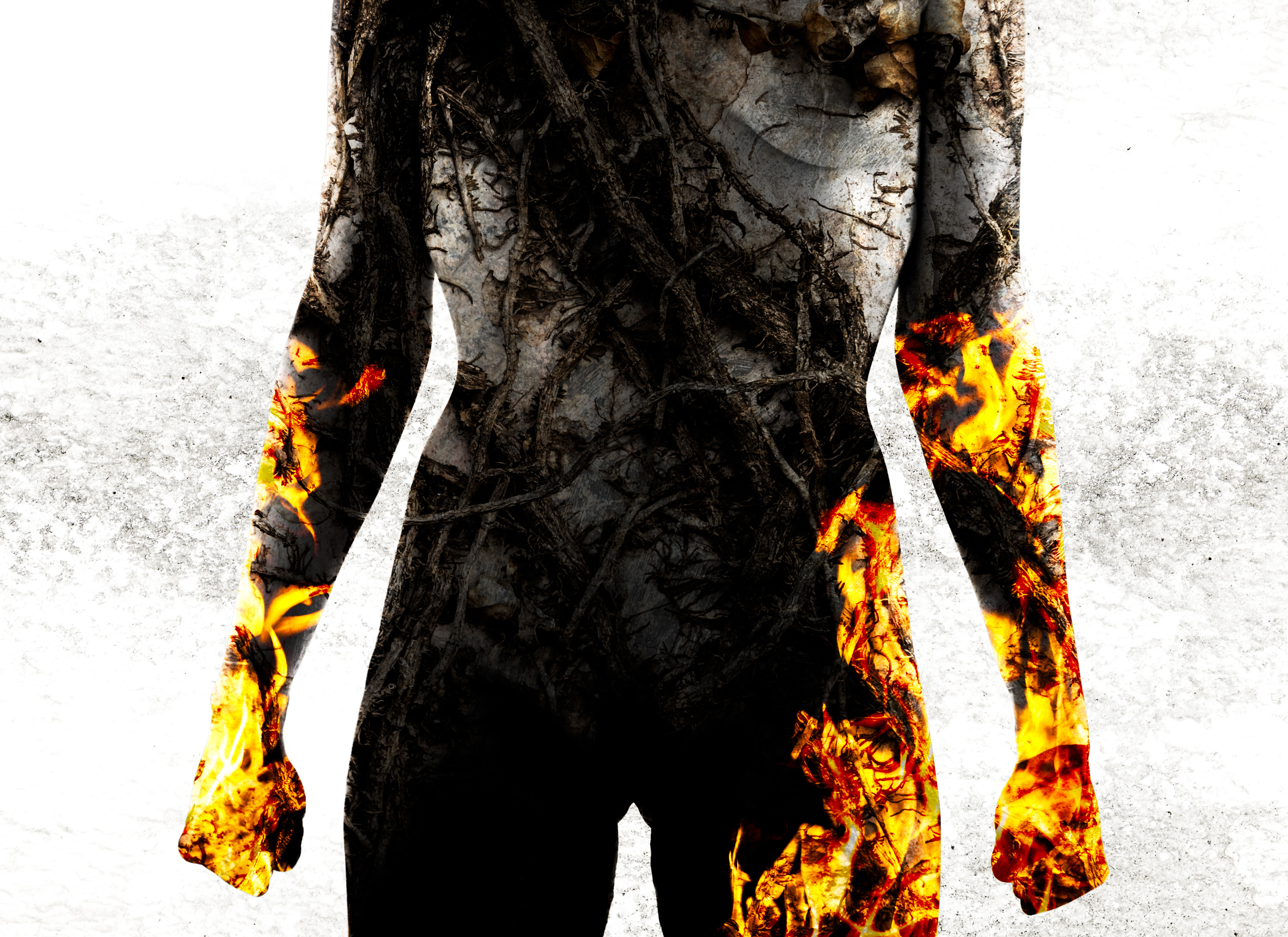 Desarrollo de proyectos de fotografa artstica