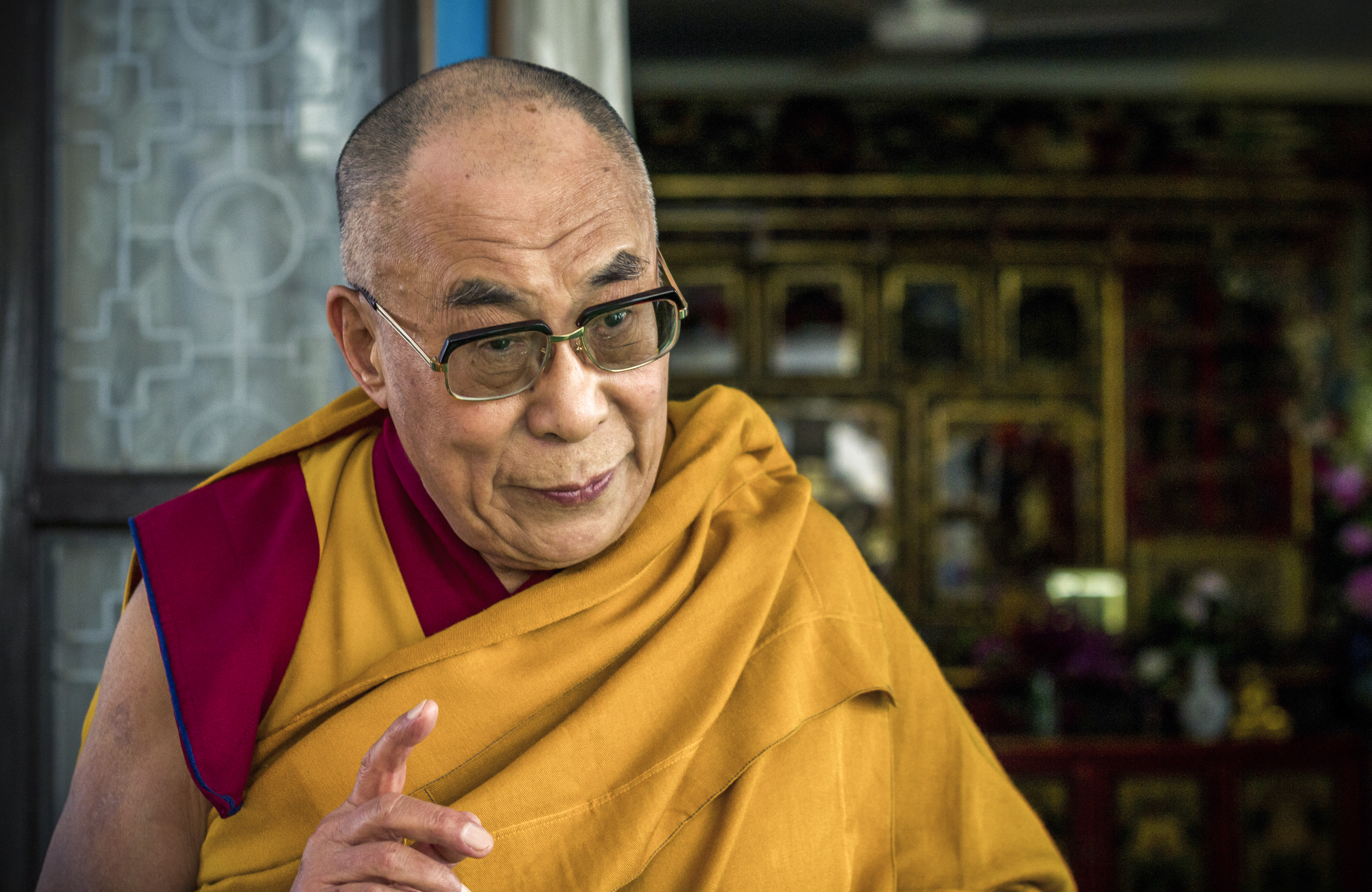 FICMA Seleccin sobre conexin con la naturaleza