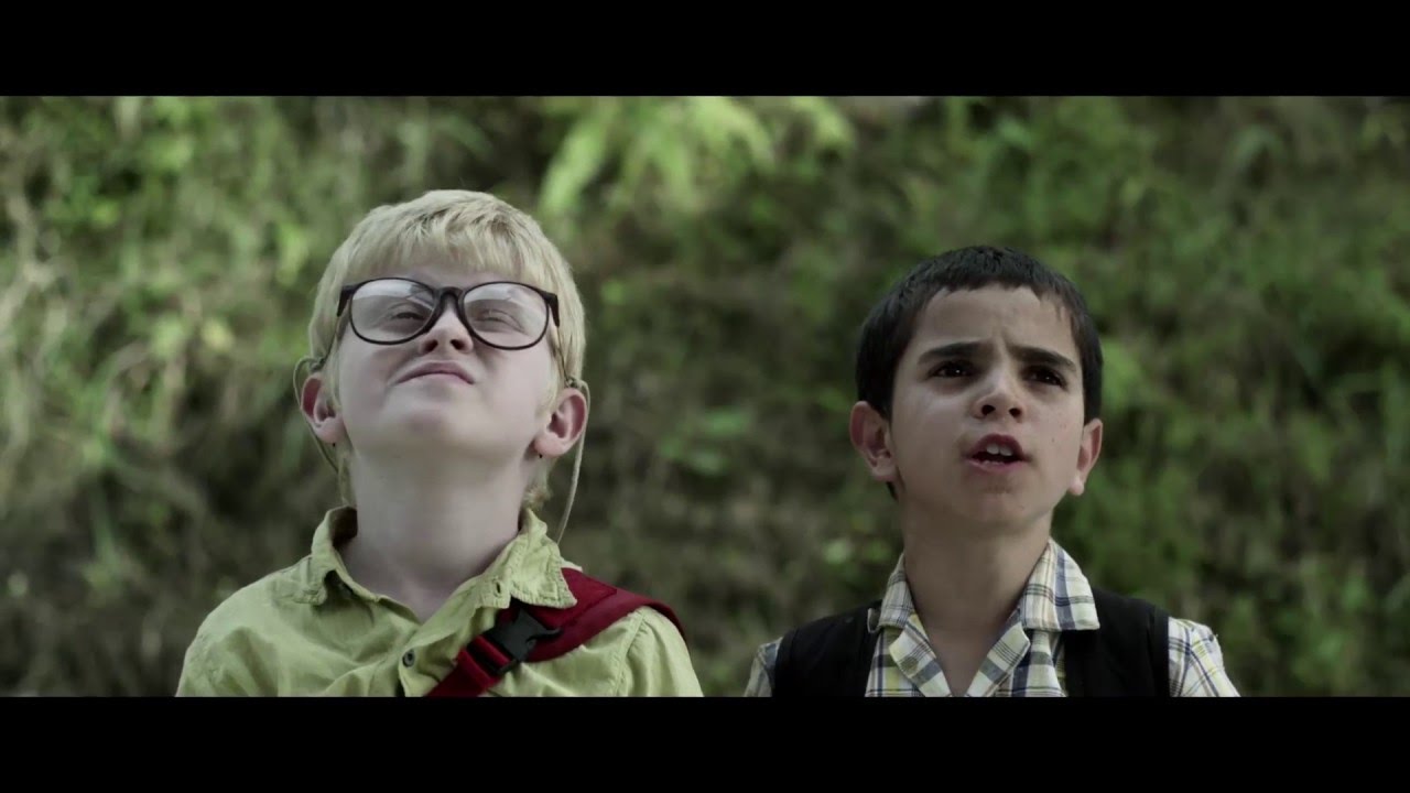 Los colores de la montaa