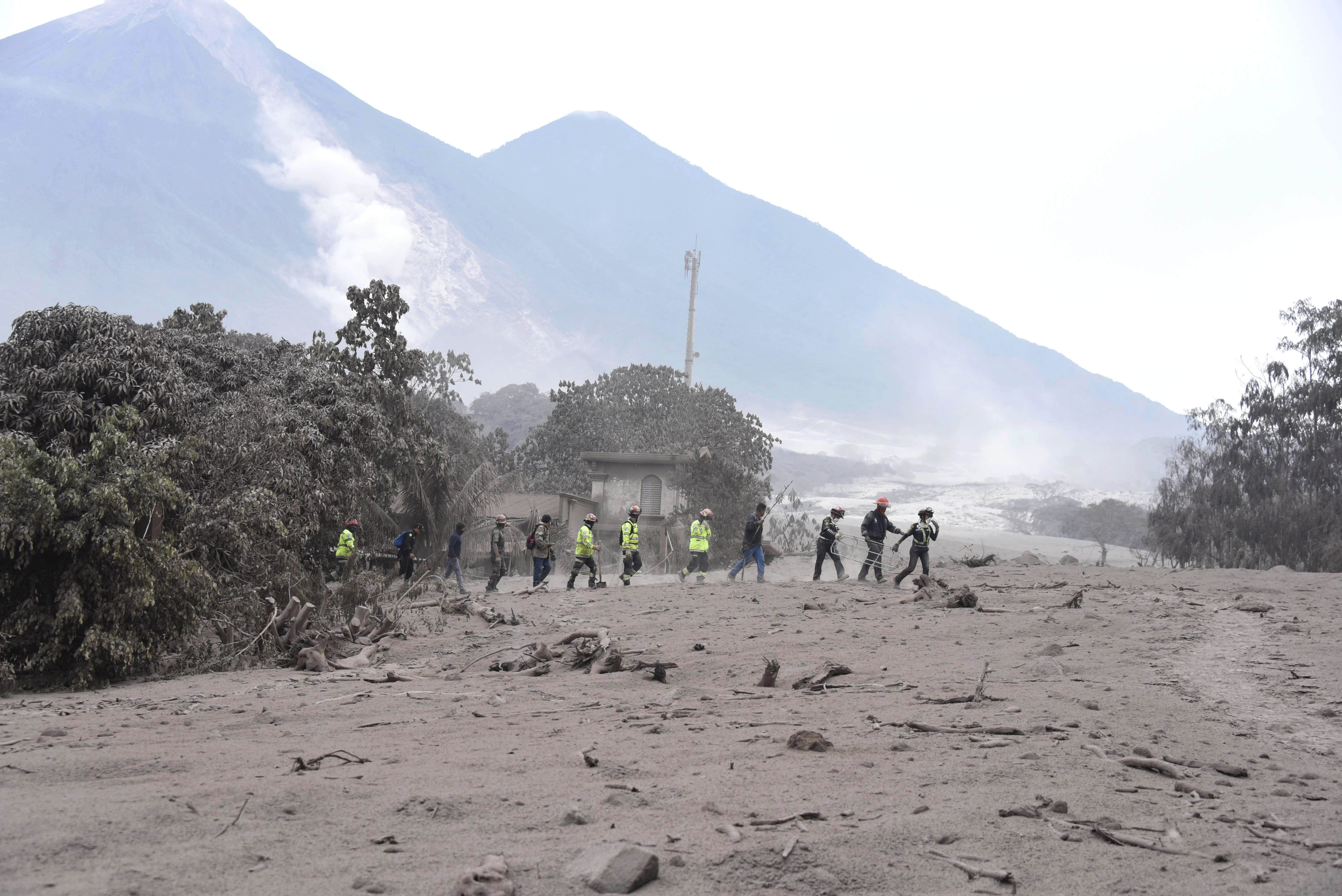 Programa educativo La seguridad humana
