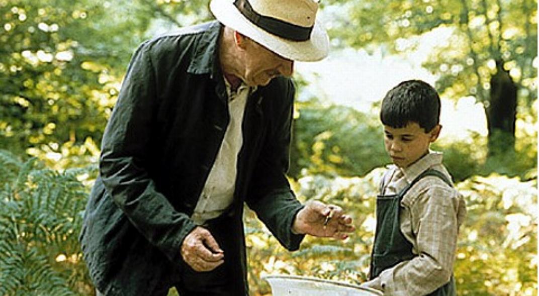 La lengua de las mariposas