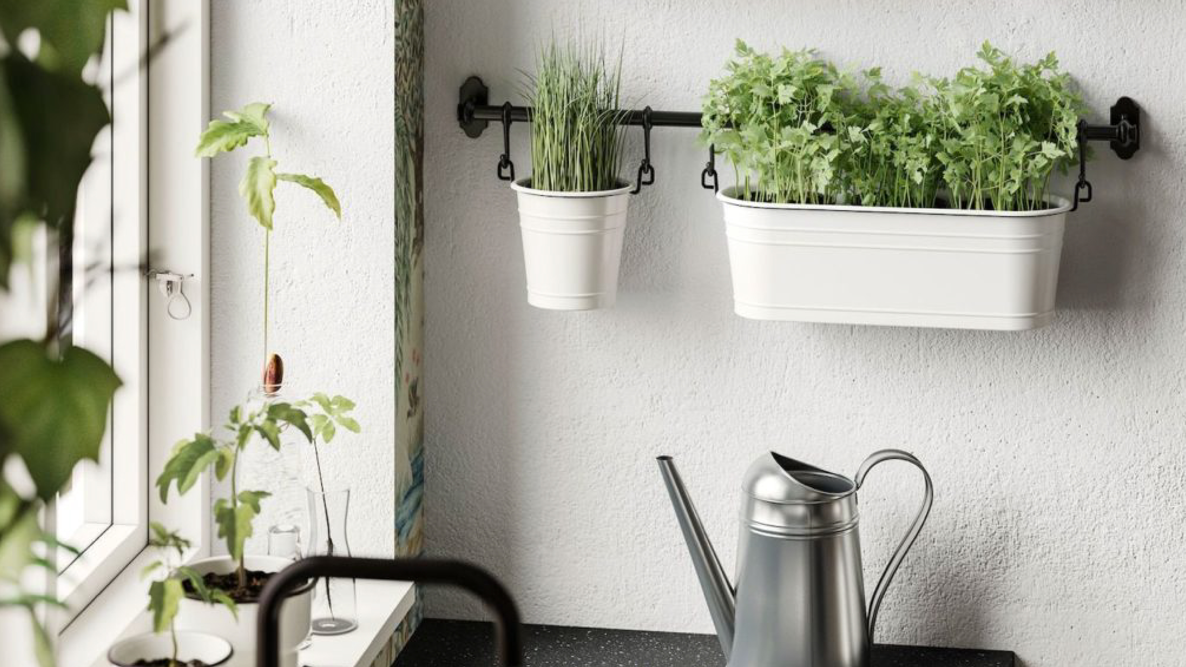 Huertos urbanos en espacios reducidos