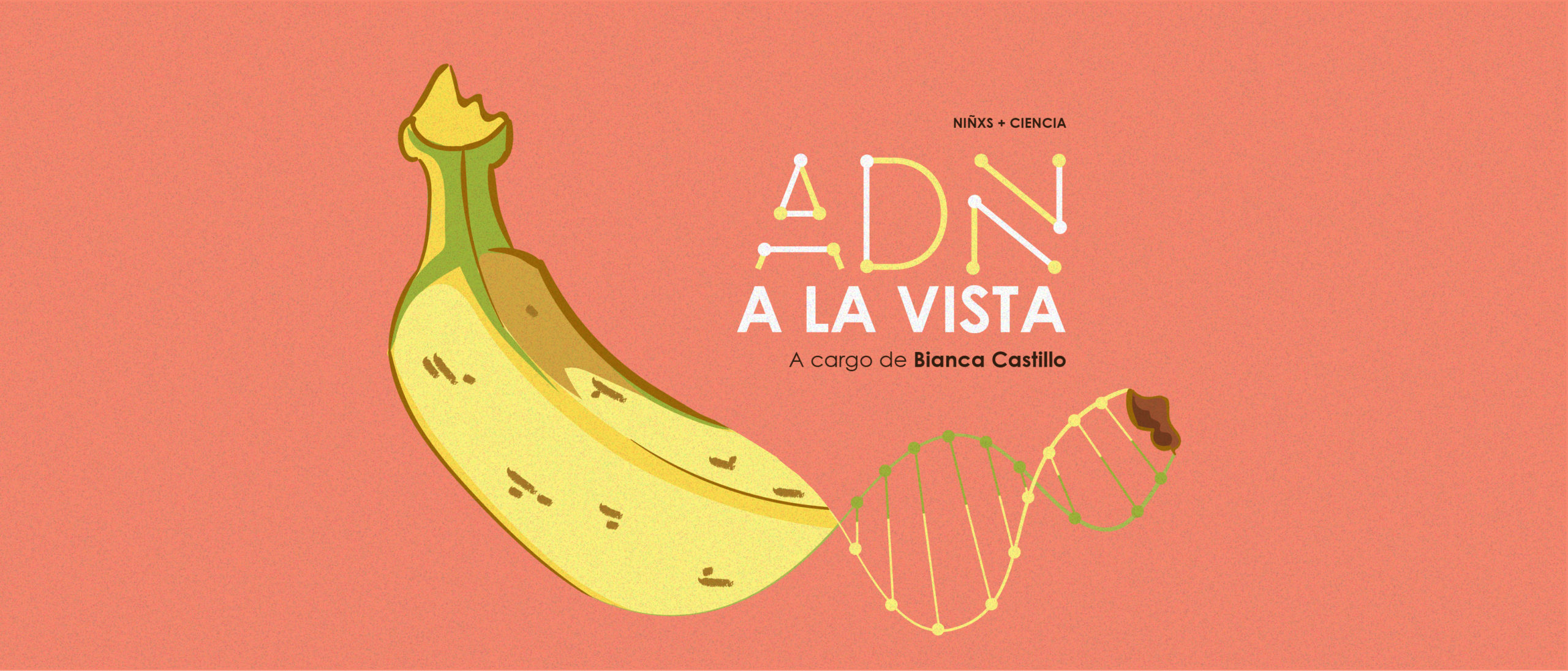 ADN a la vista