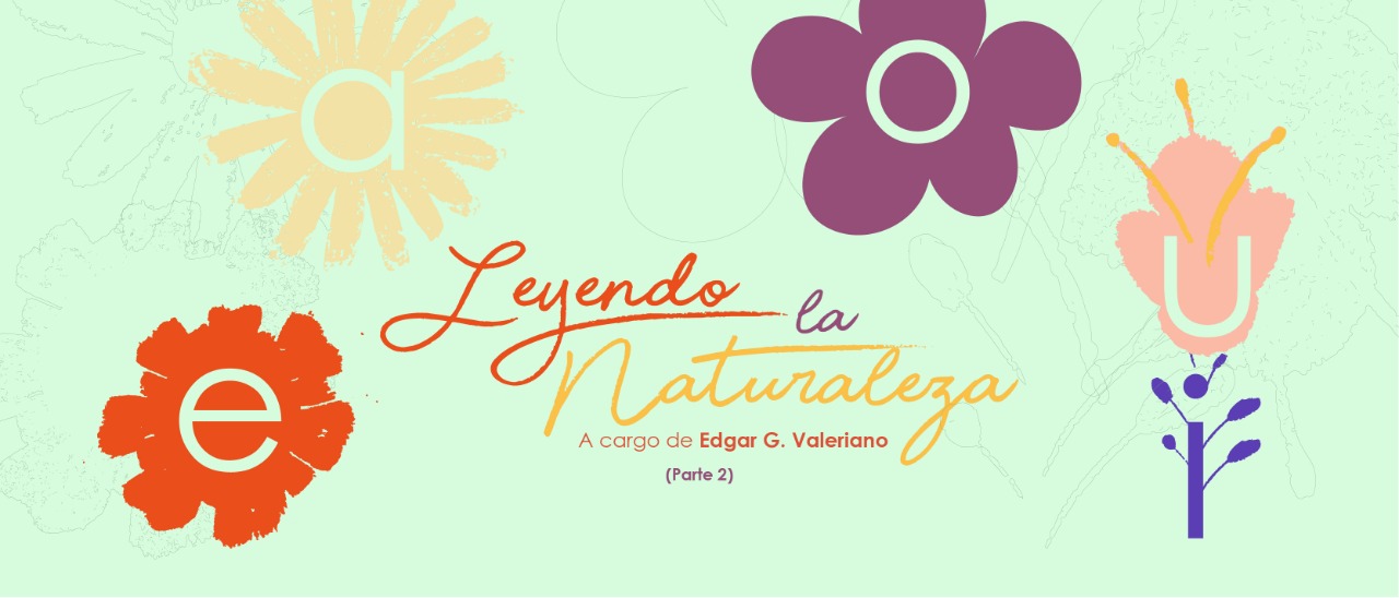 Muchos Cuentos por Leer Leyendo la Naturaleza