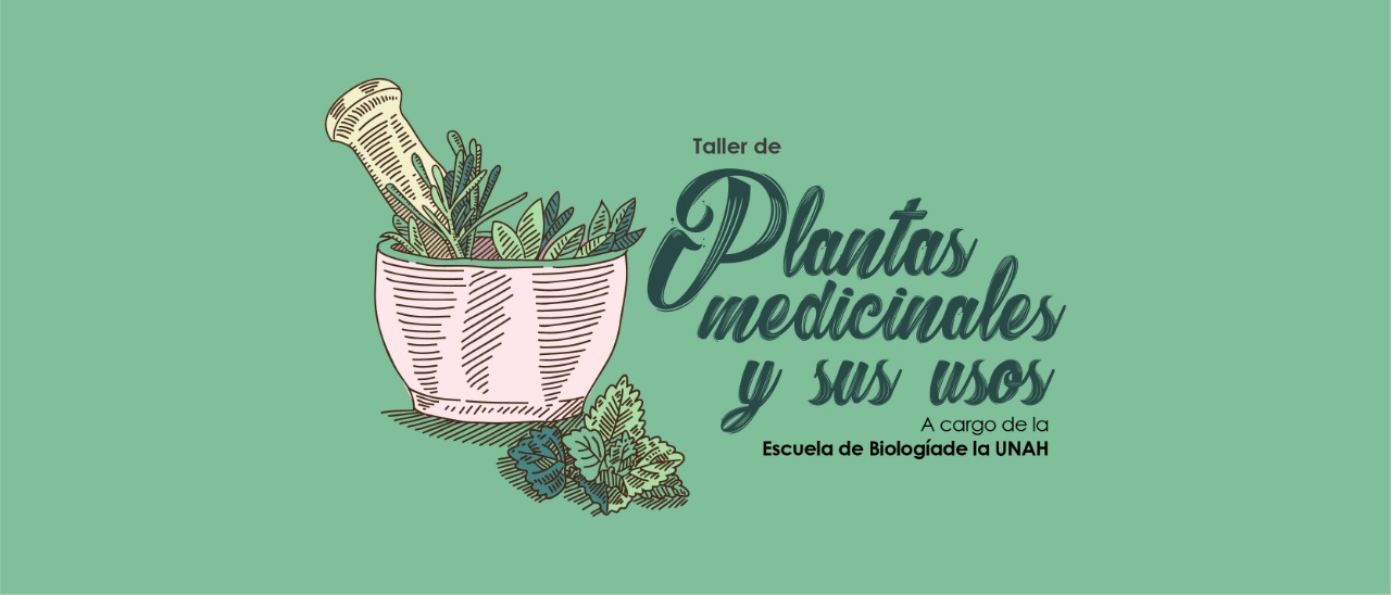 Taller de Plantas medicinales y sus usos