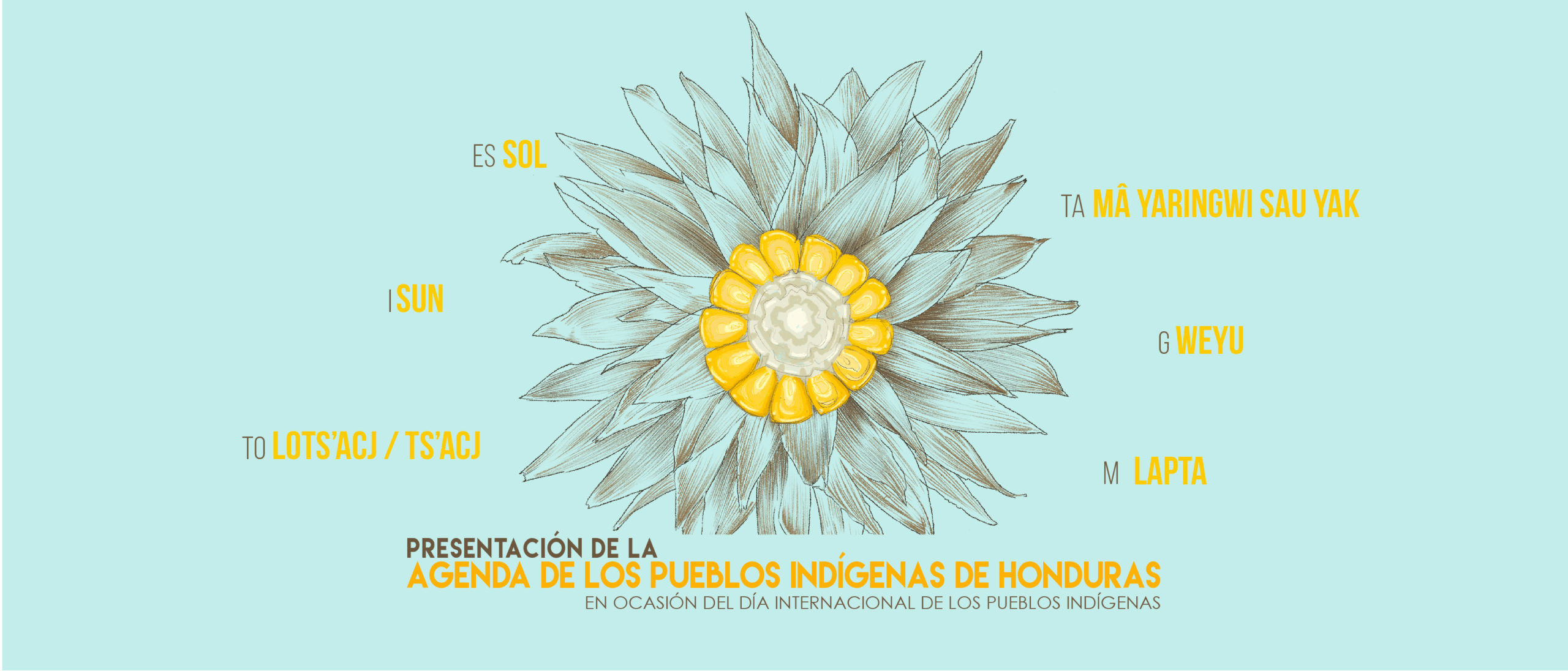 Conferencia de prensa y presentacin de la Agenda de los Pueblos Indgenas de Honduras