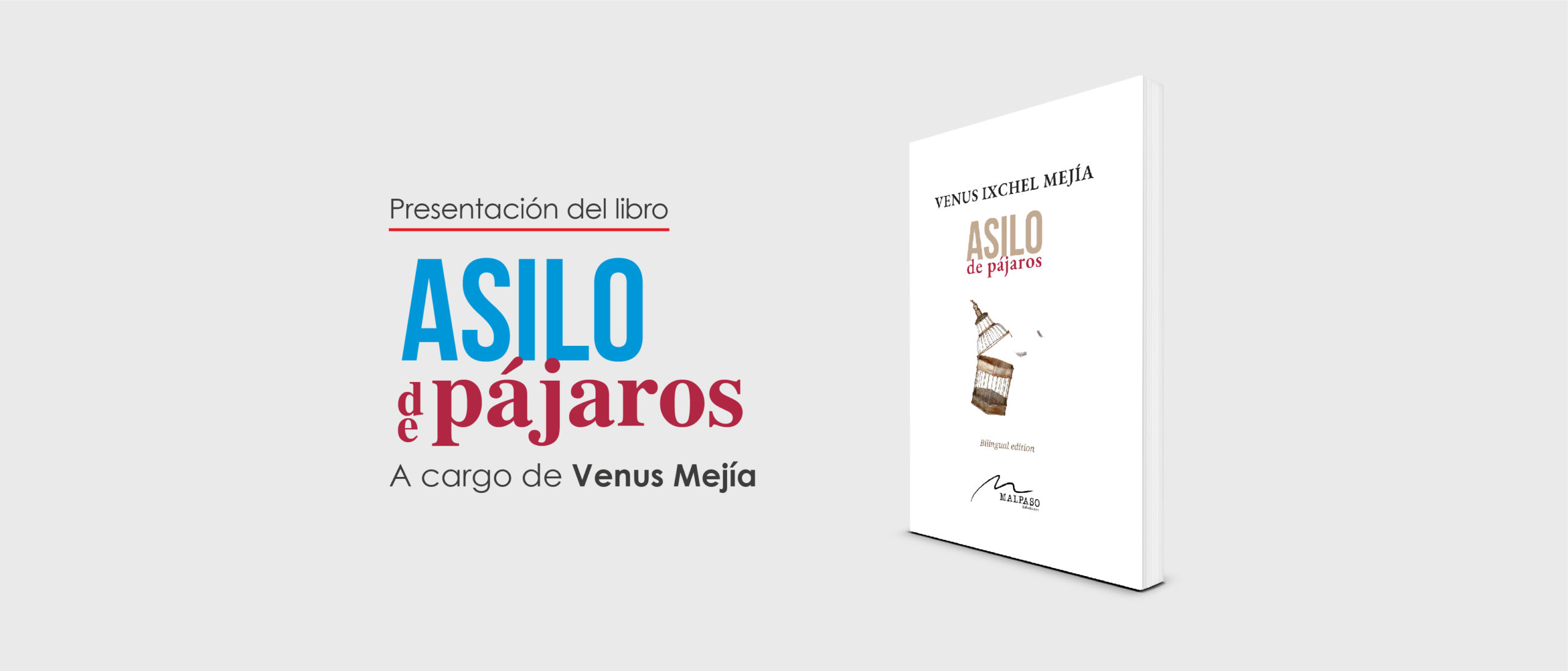 Presentacin de libro Asilo de pjaros