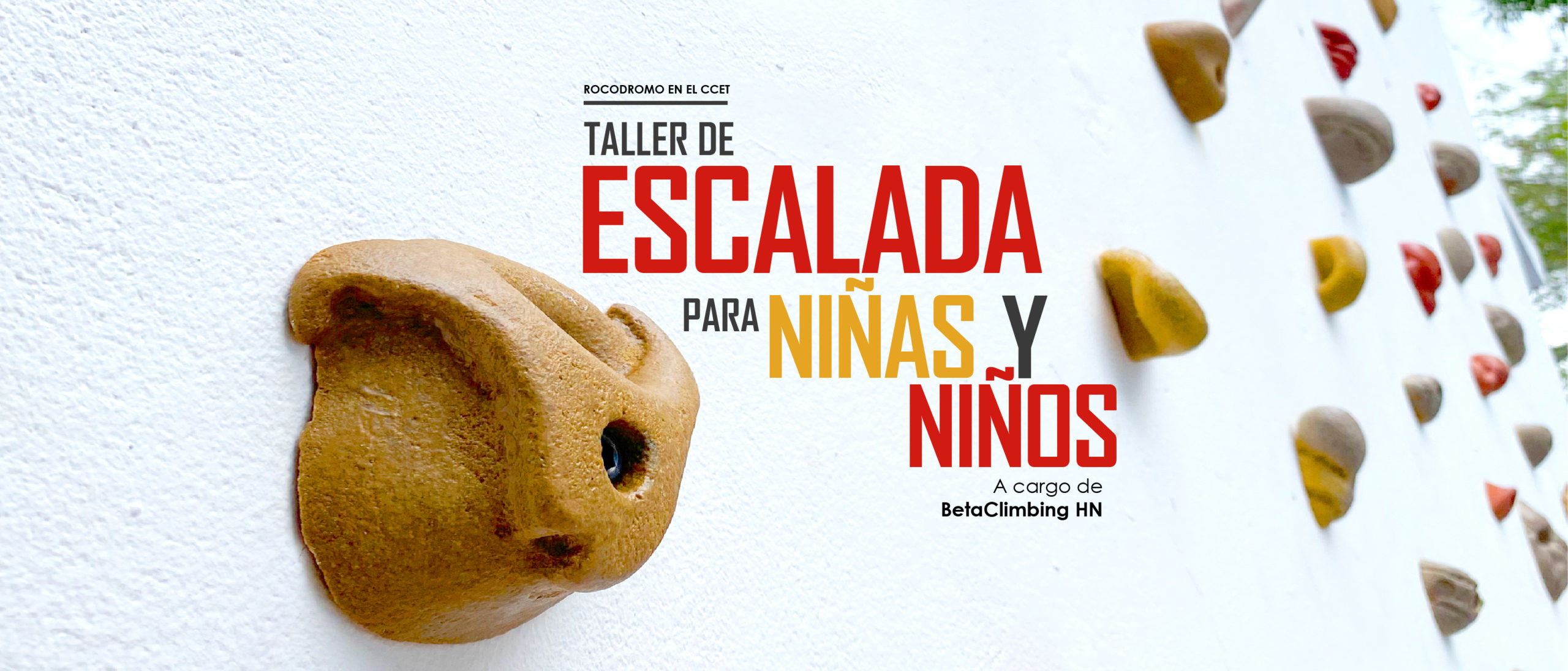 Taller Infantil de Escalada