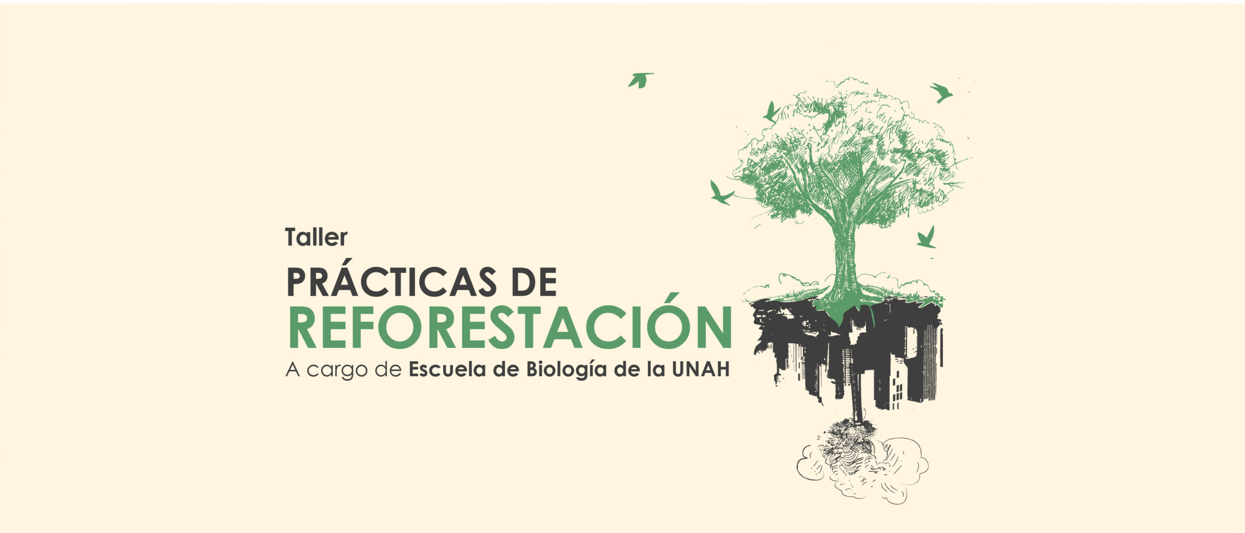 Taller bsico sobre prcticas de reforestacin con especies nativas tiles y especies de inters alimenticio