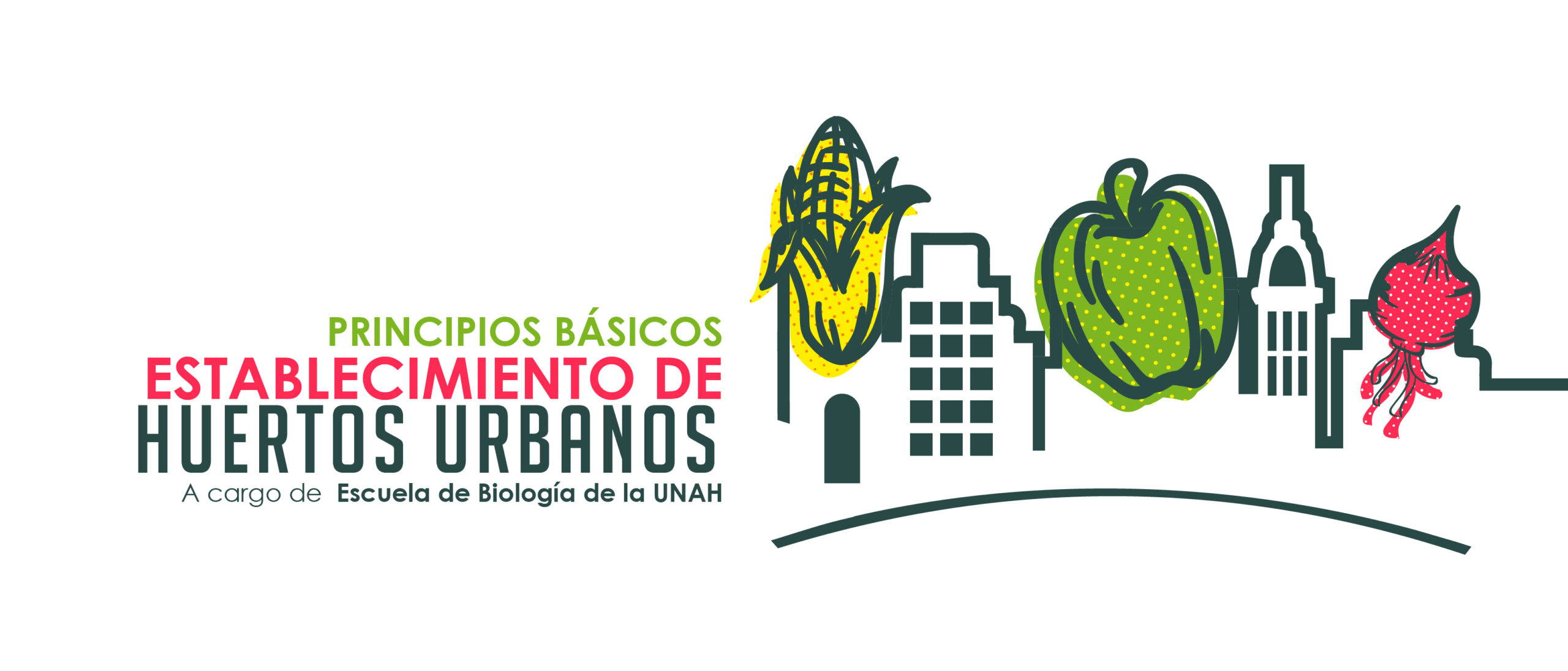Taller sobre Principios bsicos en el establecimiento de huertos urbanos