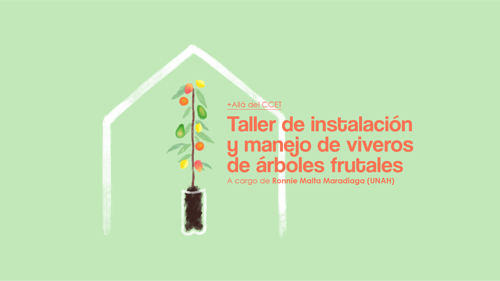 Taller de instalacin y manejo de viveros de rboles frutales