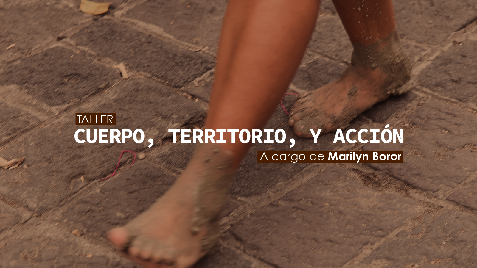 Cuerpo territorio y accin