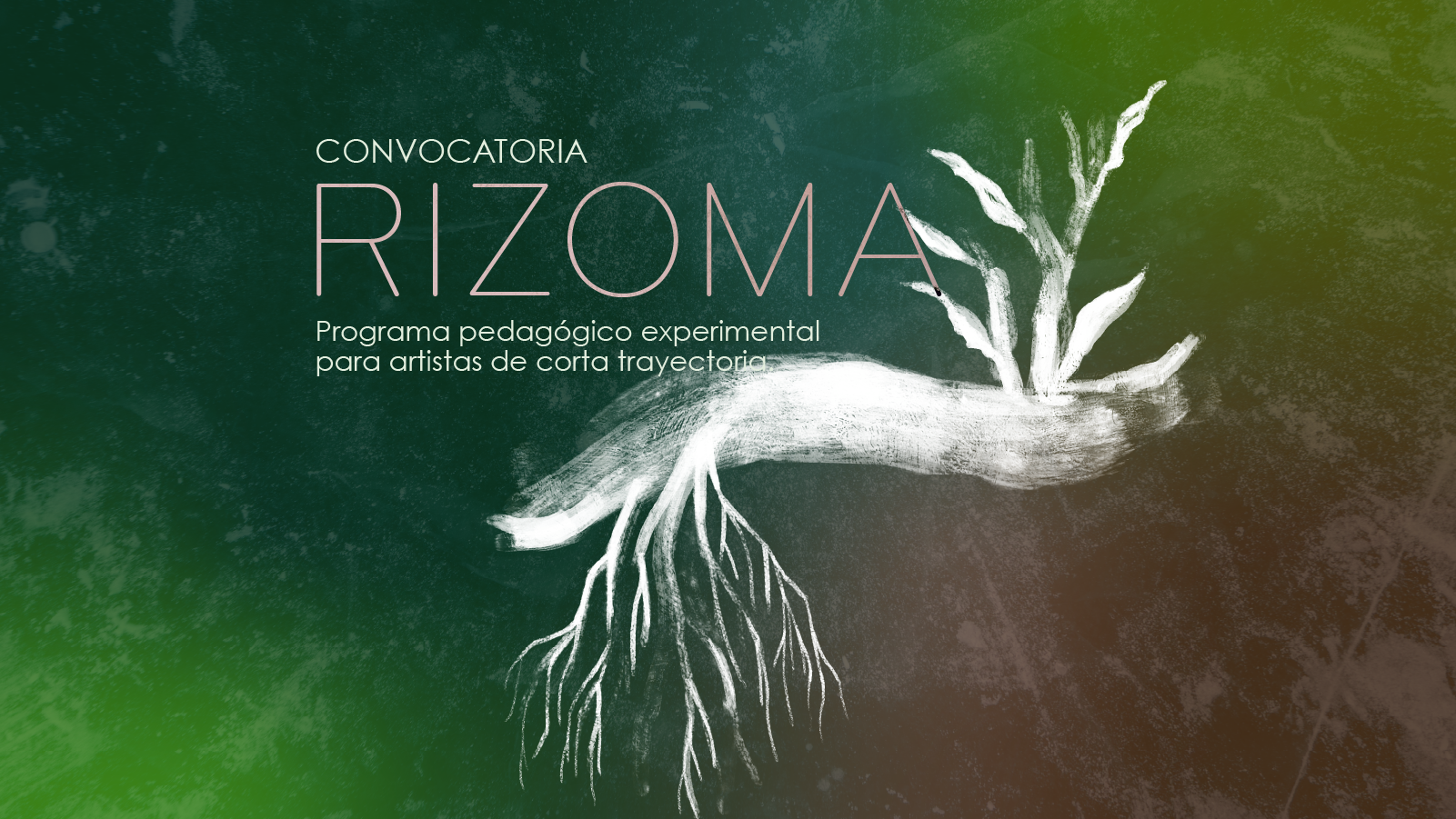 Convocatoria Rizoma