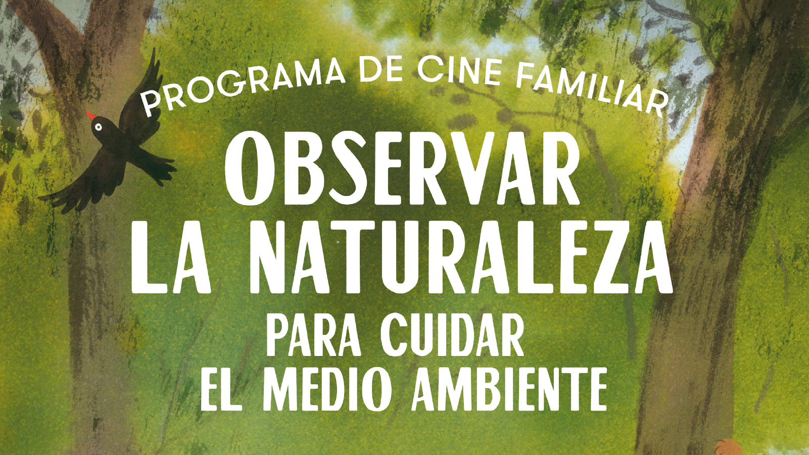 Observar la Naturaleza Para Cuidar el Medio Ambiente