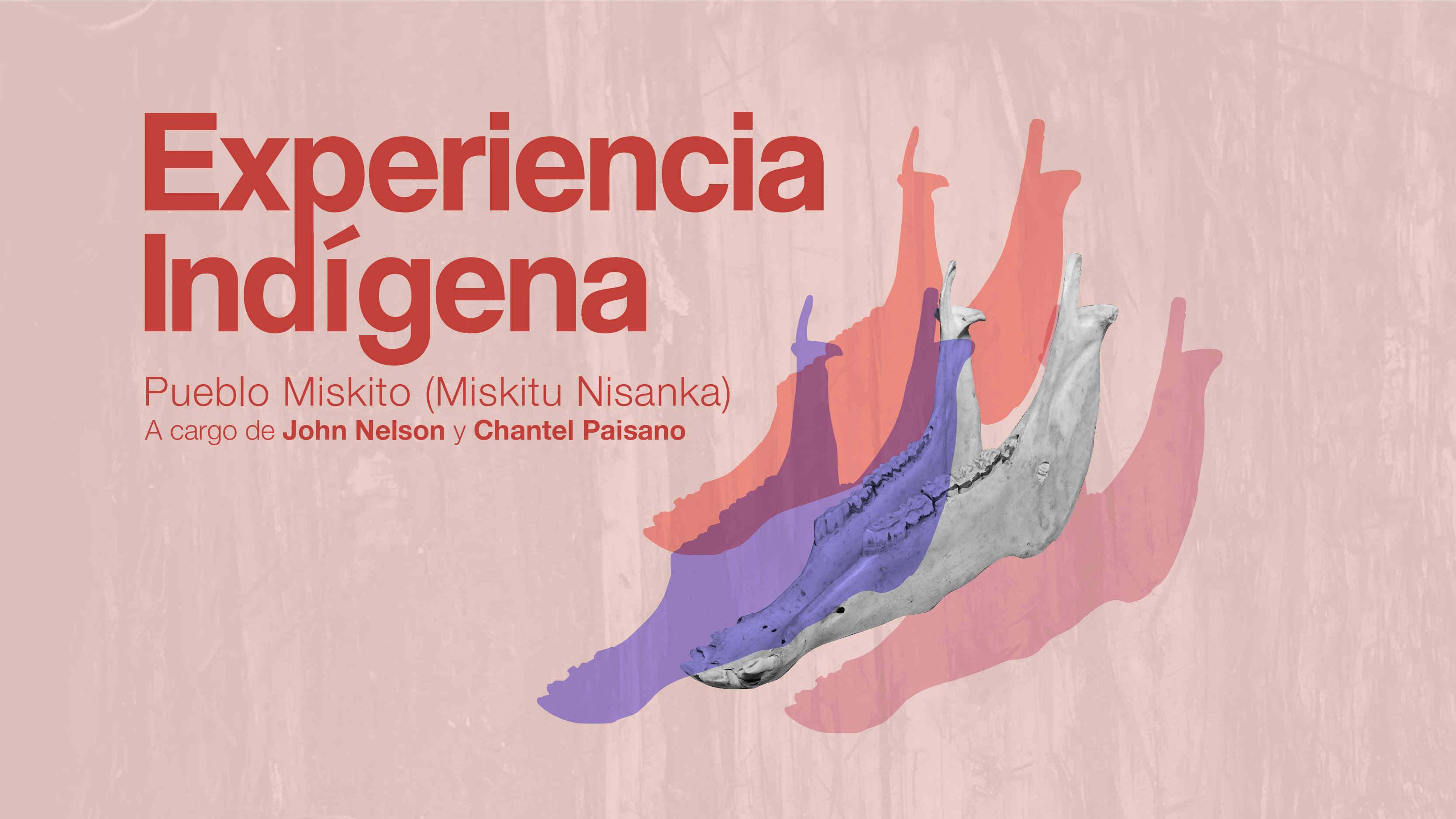 Experiencia indgena Pueblo Miskito Miskitu Nisanka