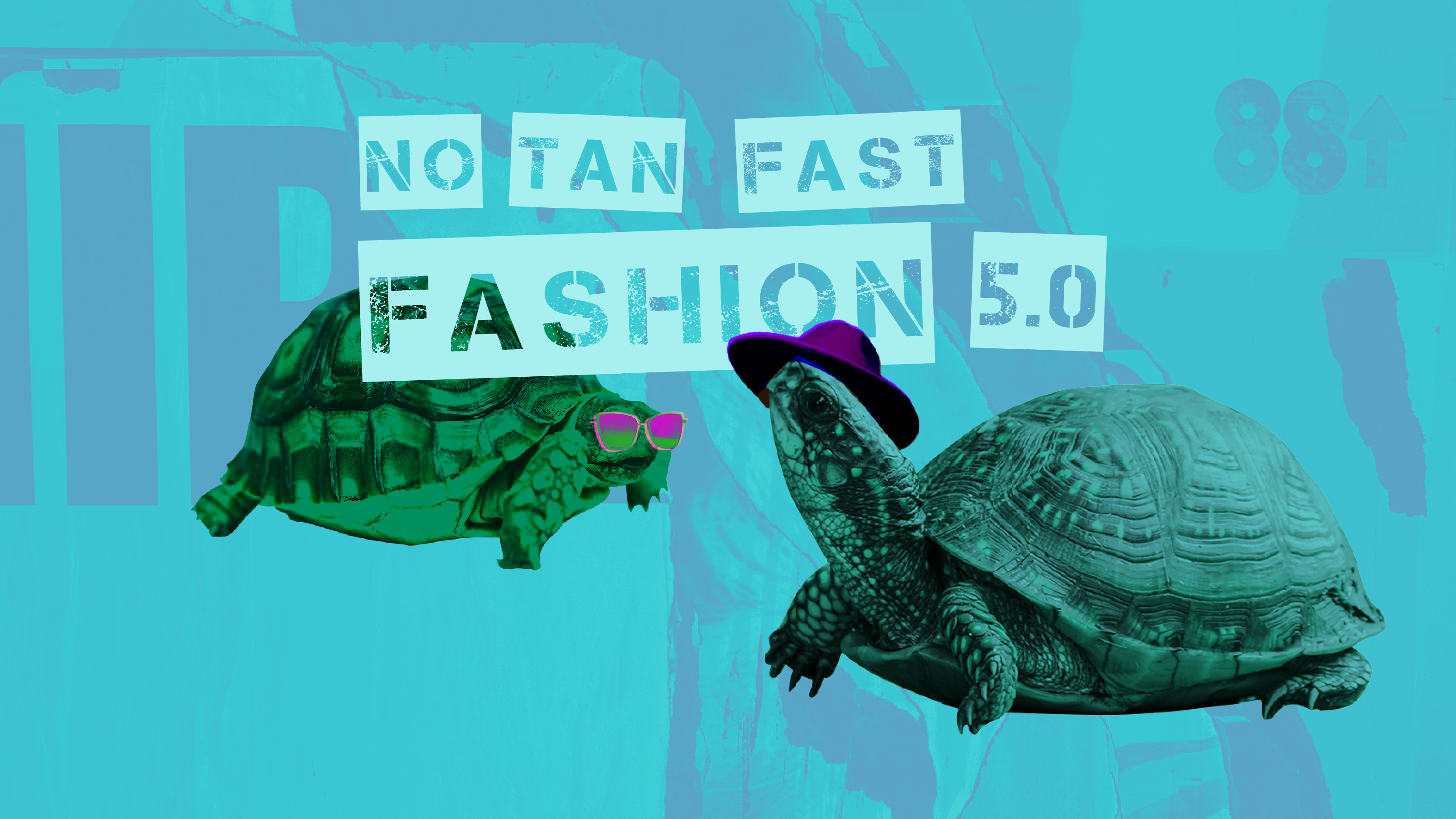 No tan fast fashion 50