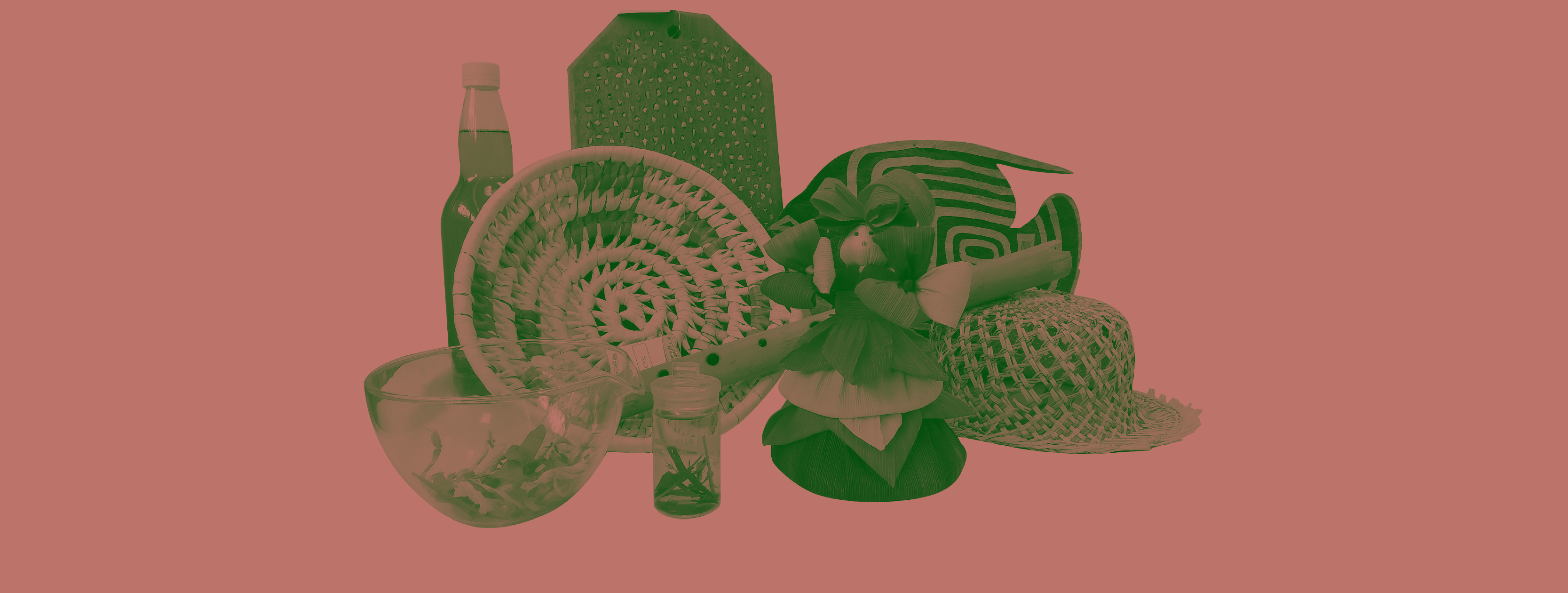 Races Ancestrales Descubriendo la Sabidura de las Plantas de Honduras