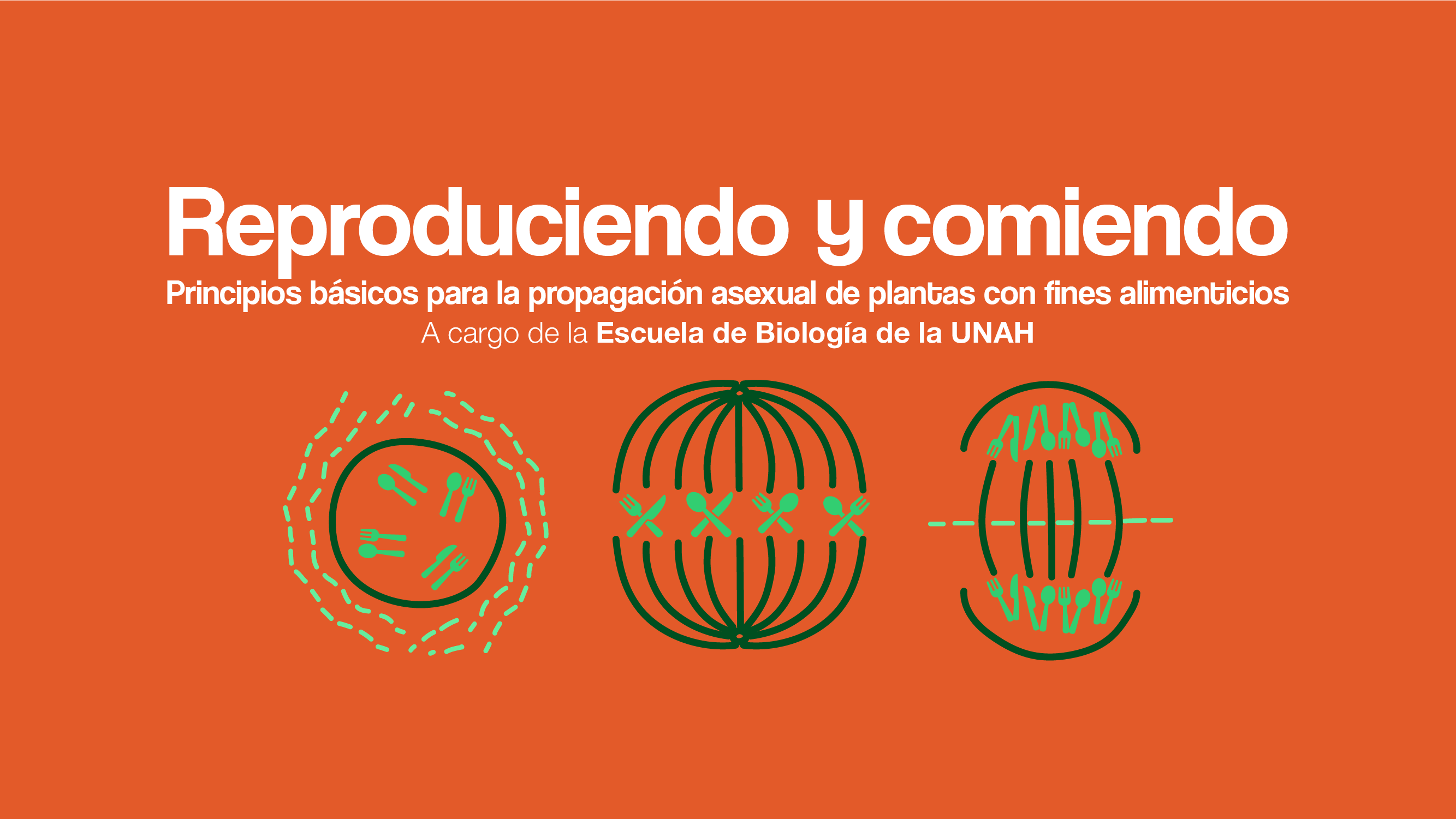 Reproduciendo y comiendo Principios bsicos para la propagacin asexual de plantas con fines alimenticios