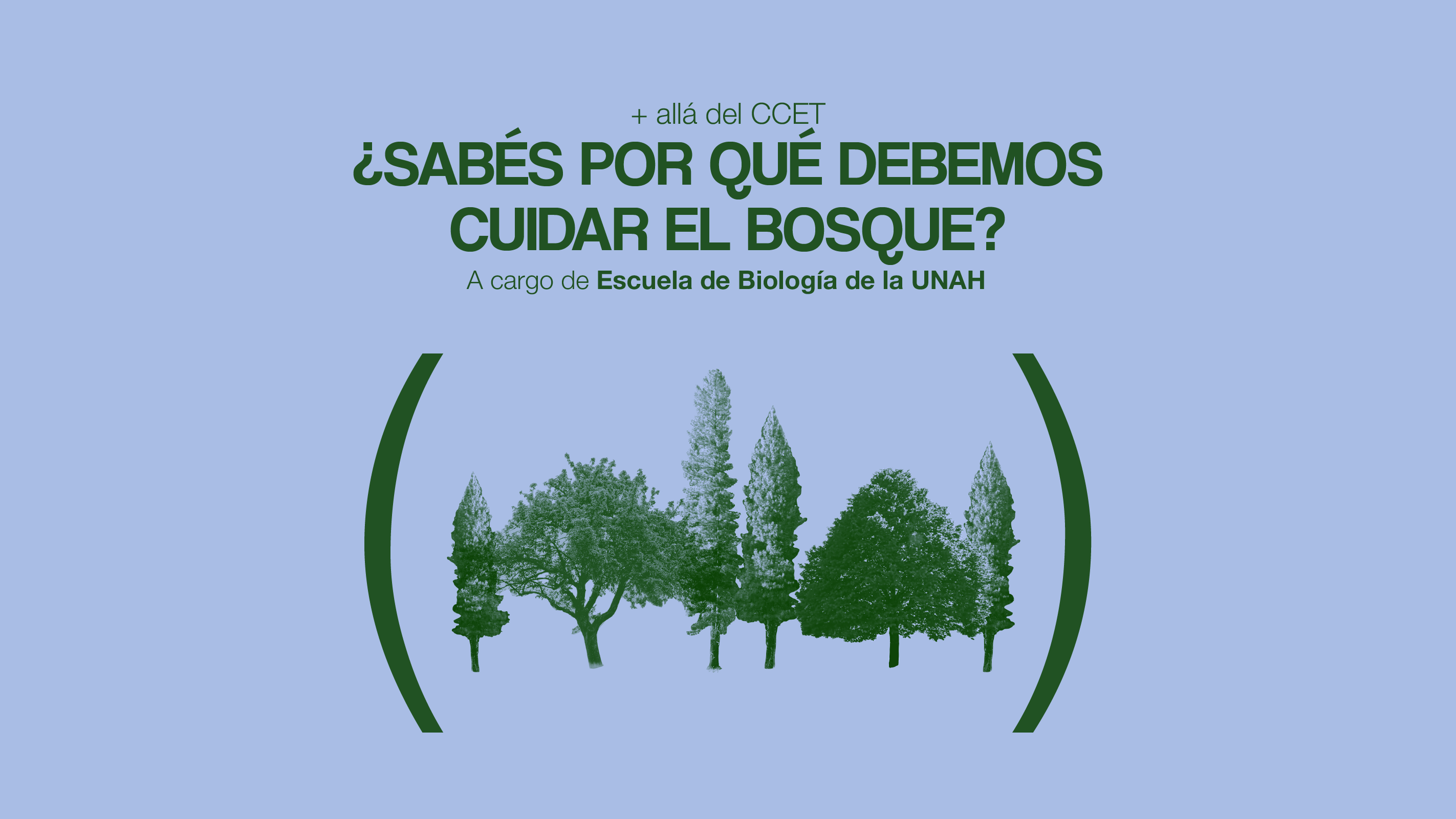 Sabs por qu Debemos Cuidar el Bosque