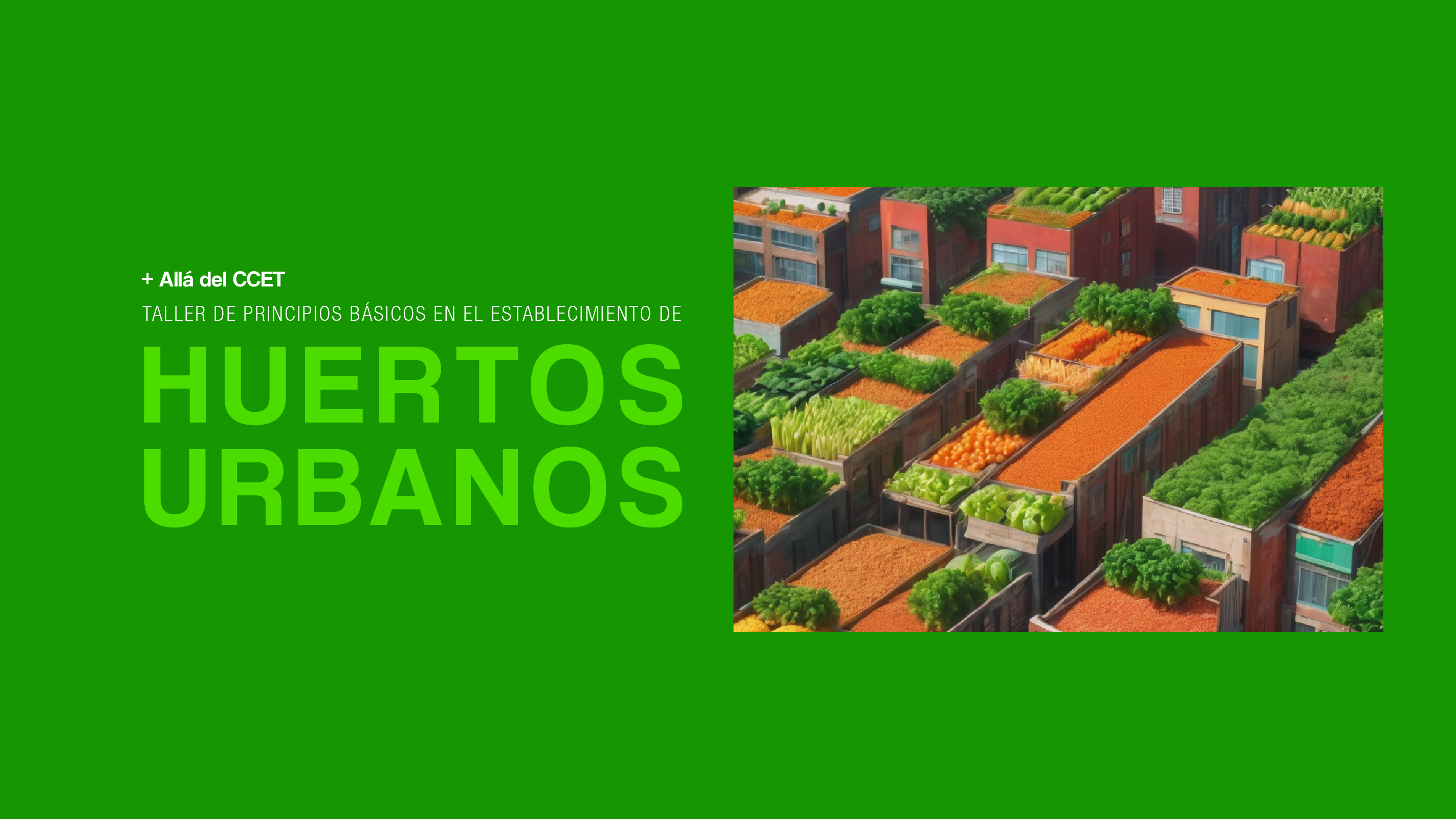 Taller sobre Principios bsicos en el establecimiento de huertos urbanos