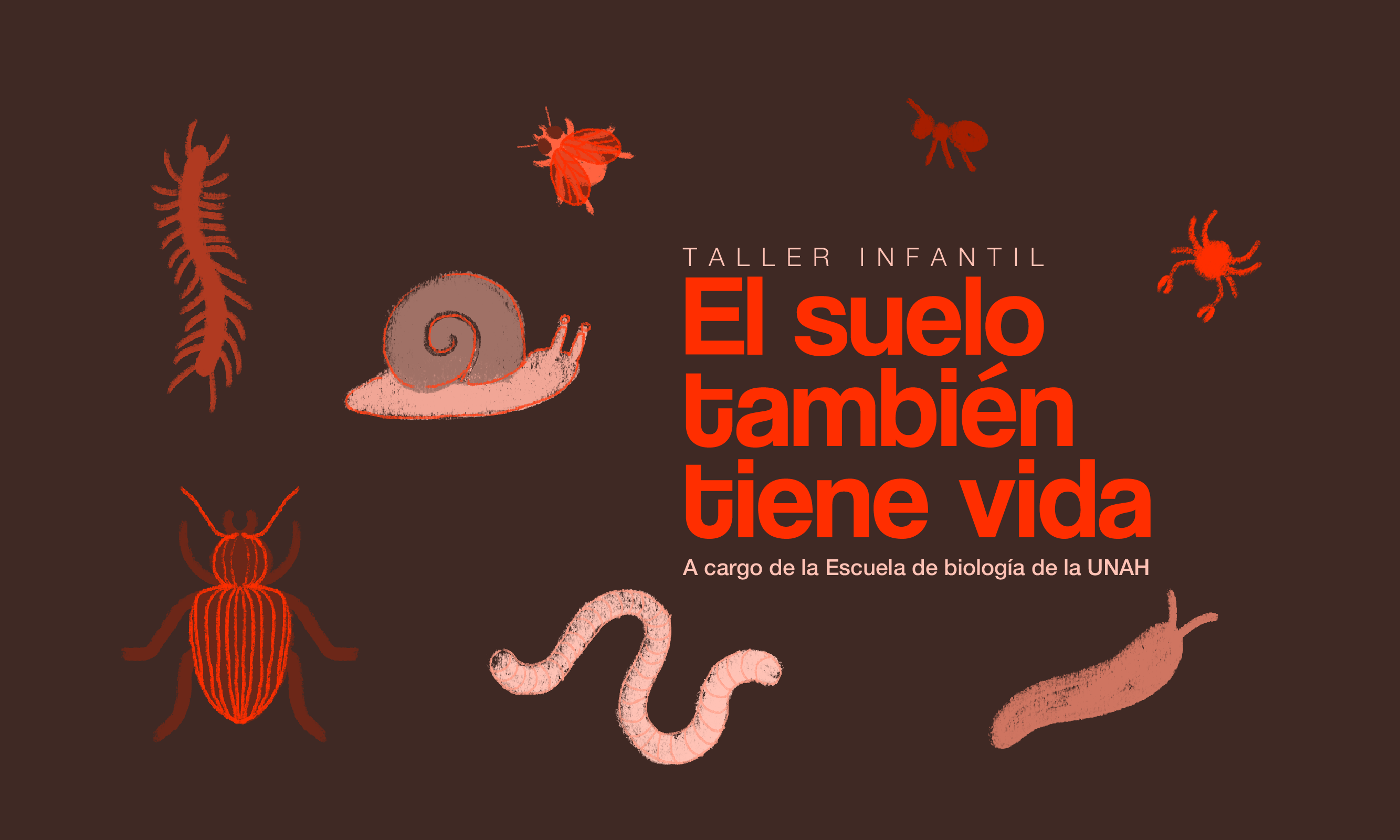 El suelo tambin tiene vida