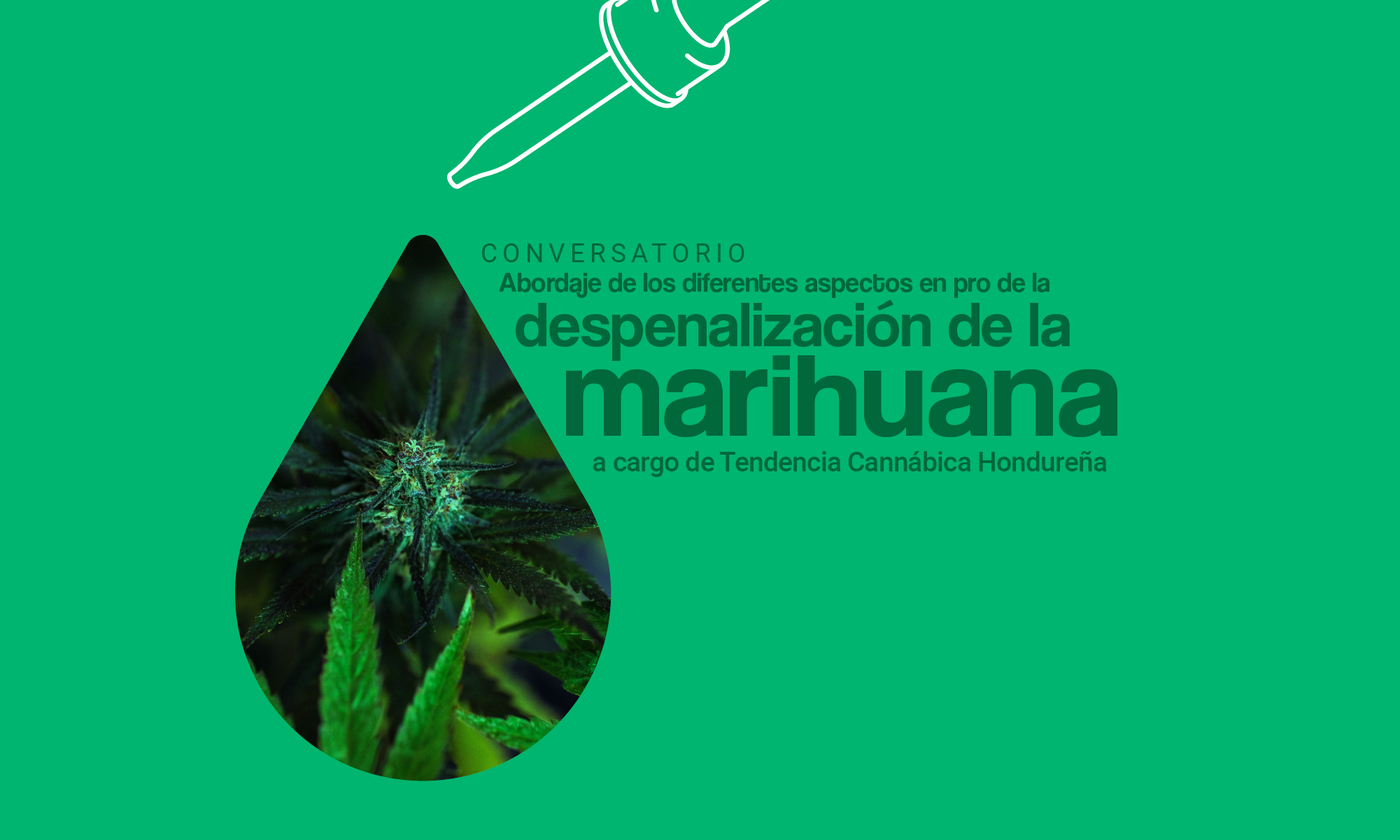 Abordaje de los diferentes aspectos en pro la despenalizacin de la marihuana