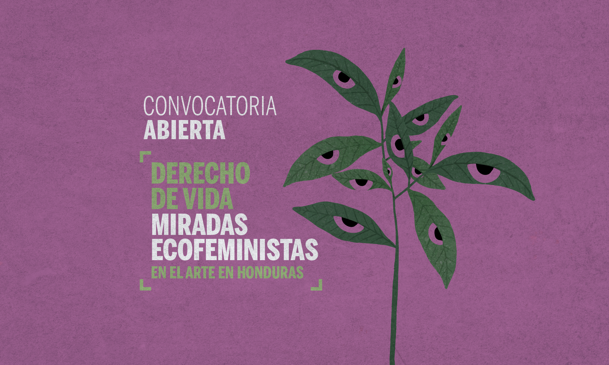 Resolucin de la Convocatoria Derecho de Vida Miradas ecofeministas en el Arte en Honduras