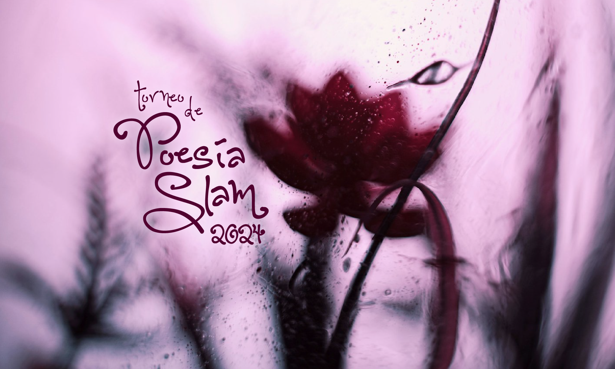 Torneo de Poesa Slam 2024