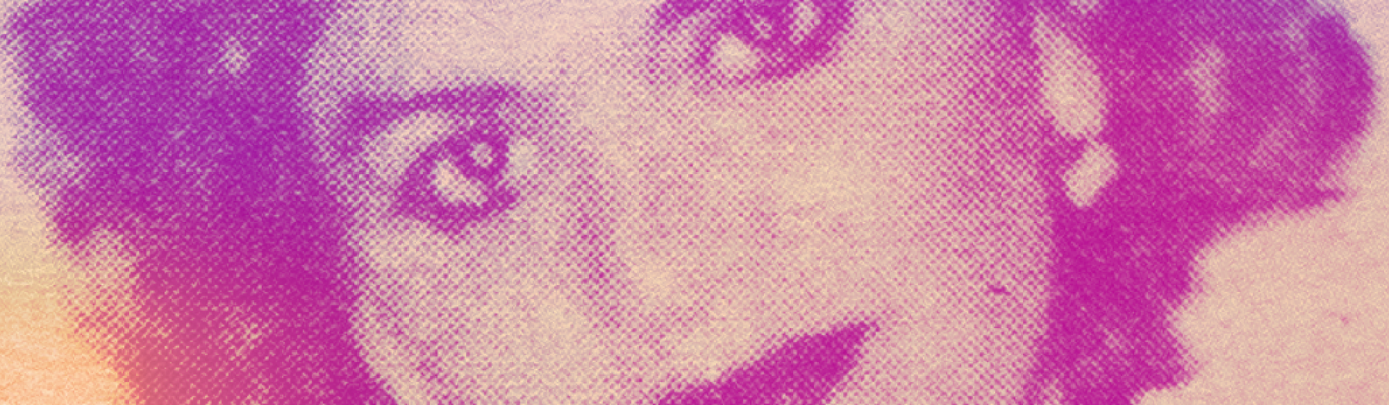 JACATN CUIR Hackaton Queer En busca de Sigfrida Shantall