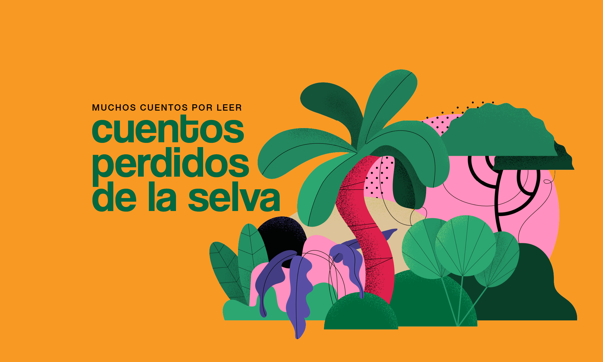 Muchos cuentos por leer Cuentos Perdidos de la Selva