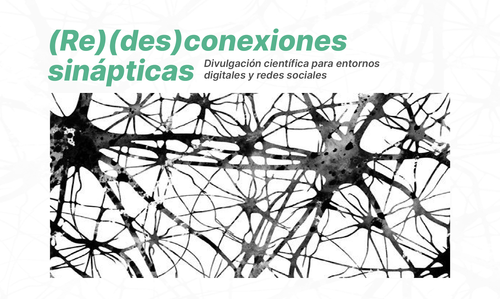 Redesconexiones sinpticas