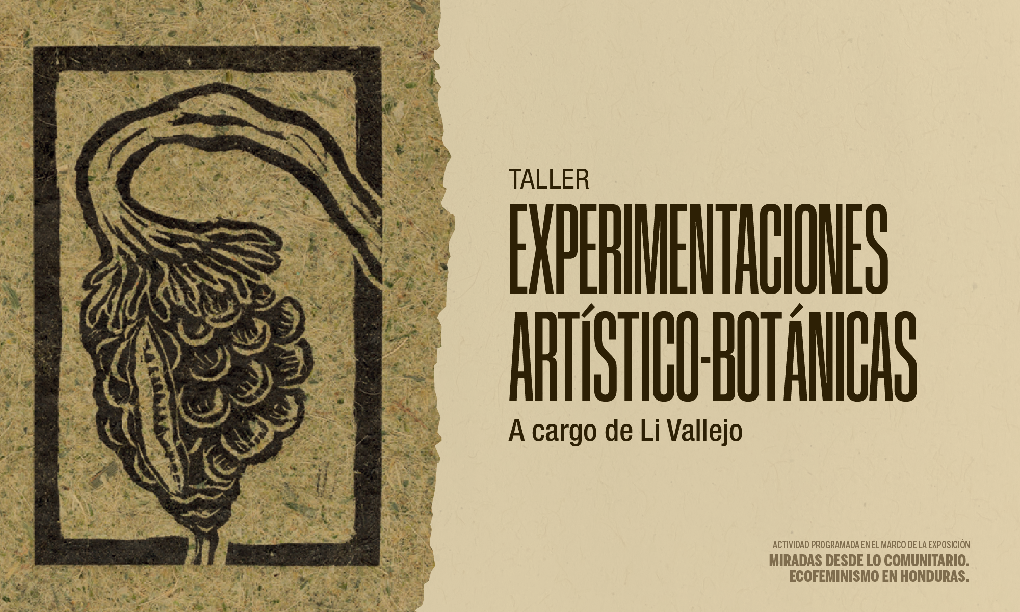 Taller Experimentaciones ArtsticoBotnicas