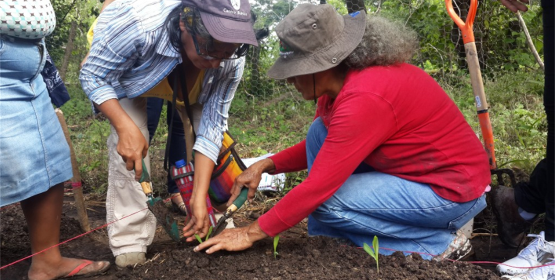 Método biointensivo producción de alimentos