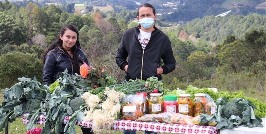 Presentación de resultados del proyecto de \u201cReactivación de la Actividad Agrícola Durante y Post Contexto COVD-19 con Enfoque de